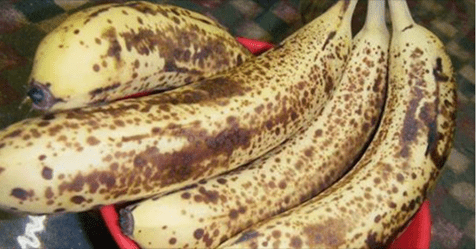 dieta della banana