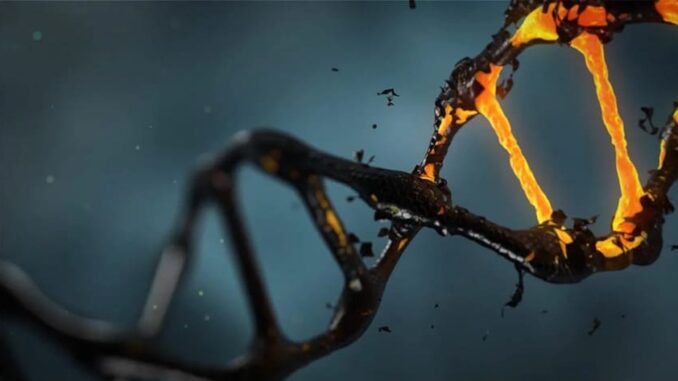 dna dna